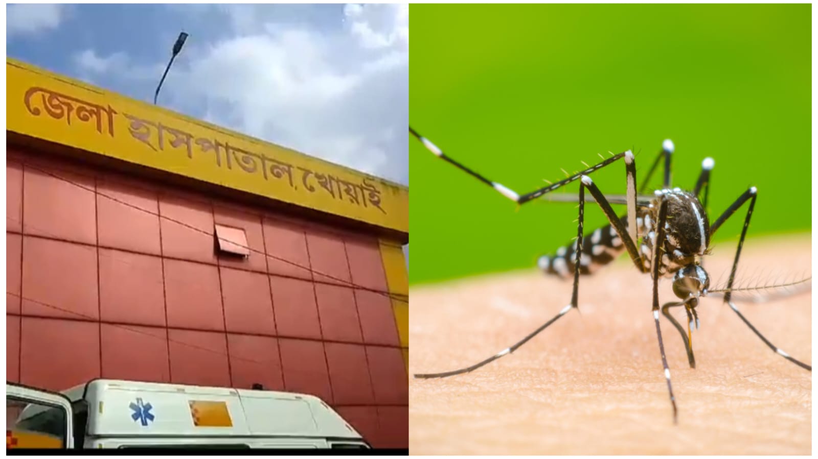 Dengue in Agartala