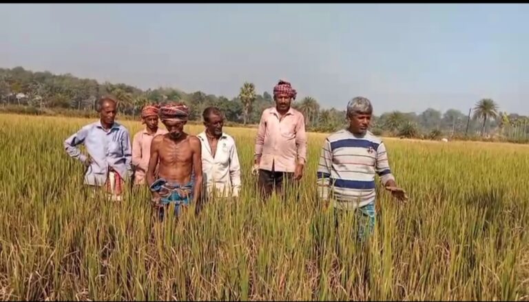 Screenshot_20251207_000441_WhatsApp