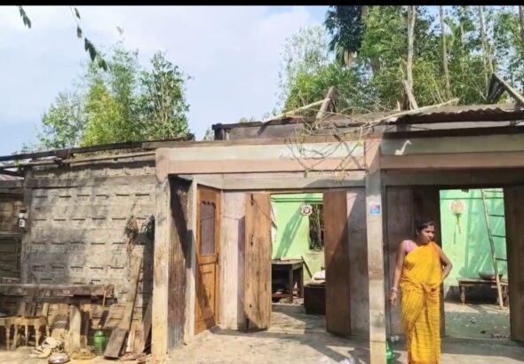 Screenshot_20260317_115317_WhatsAppBusiness