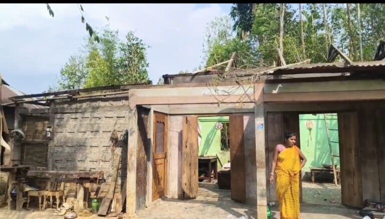 Screenshot_20260317_115317_WhatsAppBusiness