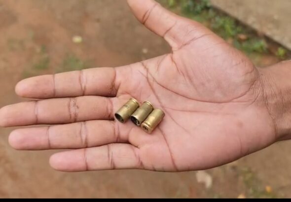 Screenshot_20260322_204247_WhatsAppBusiness