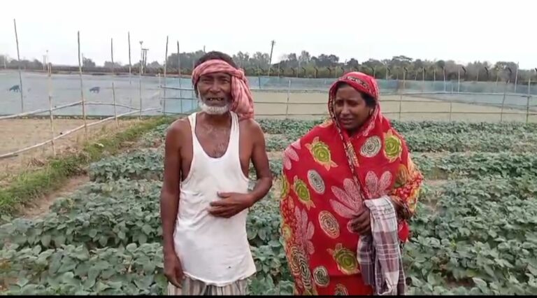 Screenshot_20260331_220742_WhatsApp