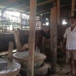 Screenshot_20260415_225752_WhatsAppBusiness