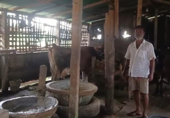 Screenshot_20260415_225752_WhatsAppBusiness