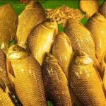 Screenshot_20260415_230912_WhatsAppBusiness