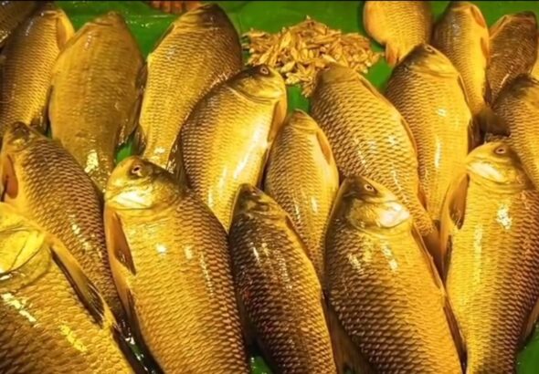 Screenshot_20260415_230912_WhatsAppBusiness