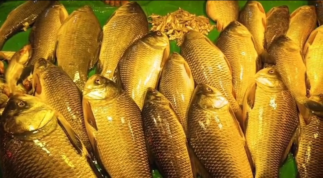 Screenshot_20260415_230912_WhatsAppBusiness