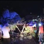 Screenshot_20260429_001835_WhatsAppBusiness