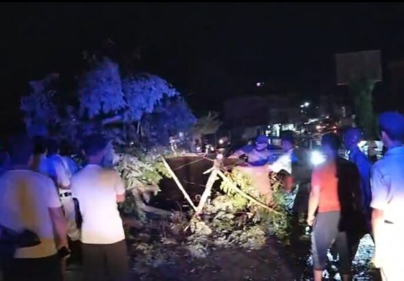 Screenshot_20260429_001835_WhatsAppBusiness