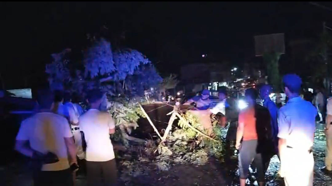 Screenshot_20260429_001835_WhatsAppBusiness